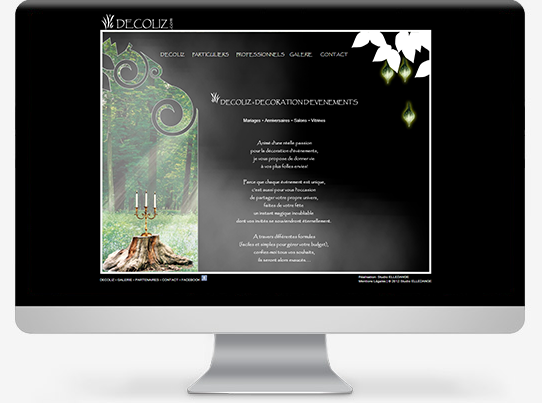 site-vitrine-decorateurdecoliz